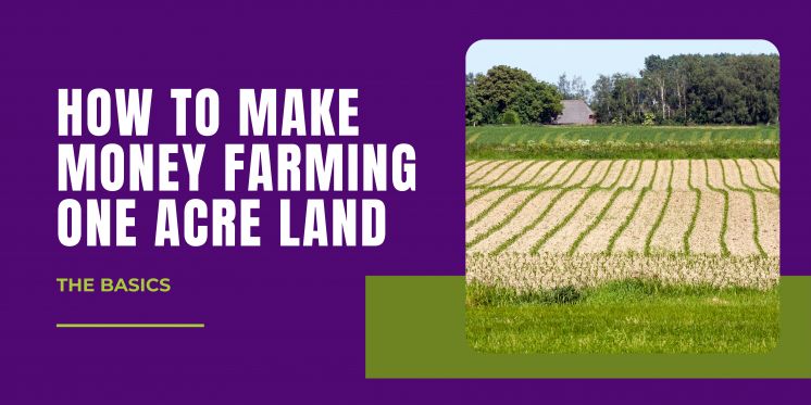 How To Make Money Farming One Acre Land