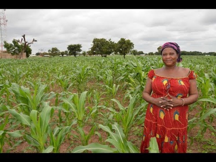 Plan for Boosting Ghana&#039;s Agricultural Productivity